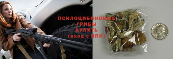 хмурый Киренск