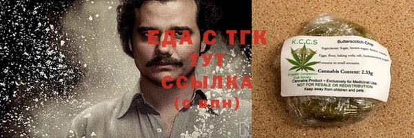 индика Козловка