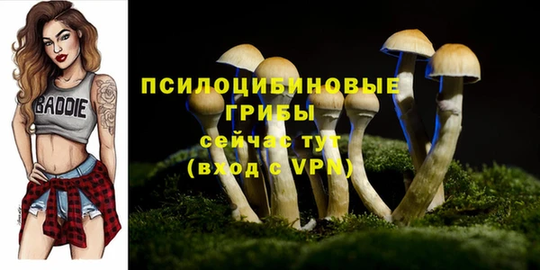 хмурый Киренск