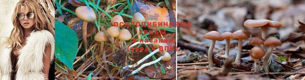 хмурый Киренск